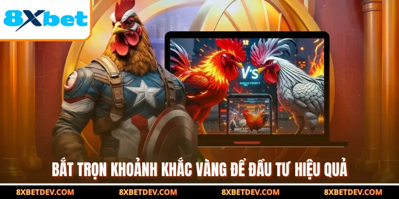 Bắt trọn khoảnh khắc vàng để đầu tư hiệu quả