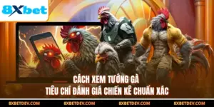 Cách Xem Tướng Gà - Tiêu Chí Đánh Giá Chiến Kê Chuẩn Xác