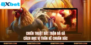 Chiến Thuật Bắt Trận Đá Gà - Cách Đọc Vị Thần Kê Chuẩn Xác