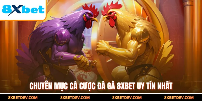 chuyên mục cá cược đá gà 8xbet uy tín nhất