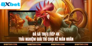 Đá Gà Trực Tiếp 4K - Trải Nghiệm Giải Trí Chọi Kê Mãn Nhãn