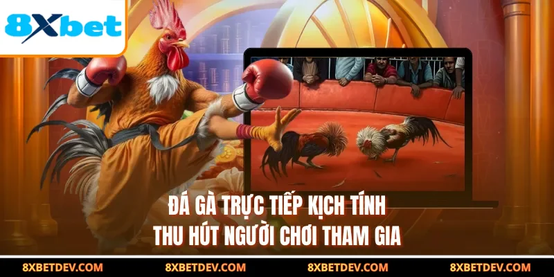 Đá gà trực tiếp kịch tính thu hút người chơi tham gia