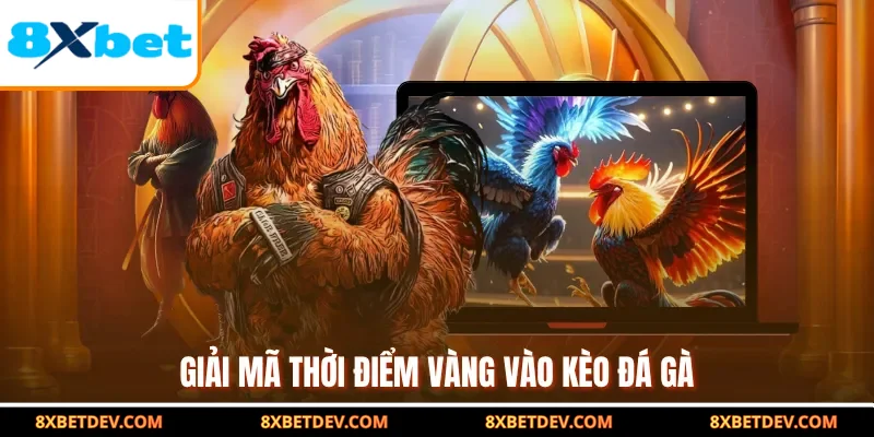 Giải mã thời điểm vàng vào kèo đá gà
