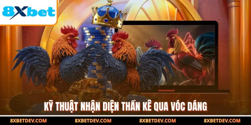 Kỹ thuật nhận diện thần kê qua vóc dáng