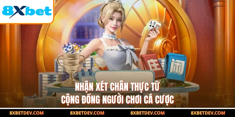Nhận xét chân thực từ cộng đồng người chơi cá cược