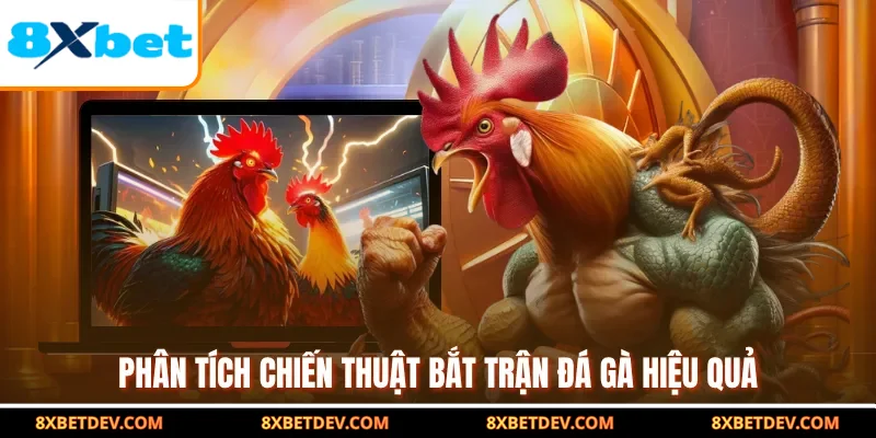 Phân tích chiến thuật bắt trận đá gà hiệu quả