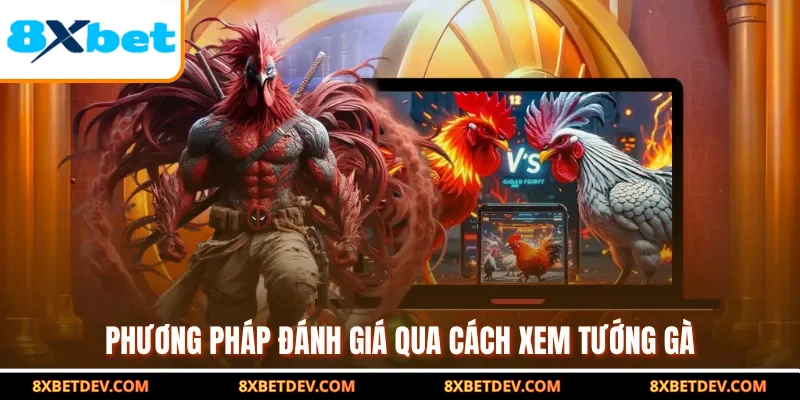 Phương pháp đánh giá qua cách xem tướng gà