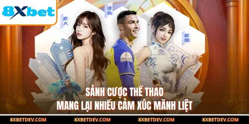 sảnh cược thể thao mang lại nhiều cảm xúc
